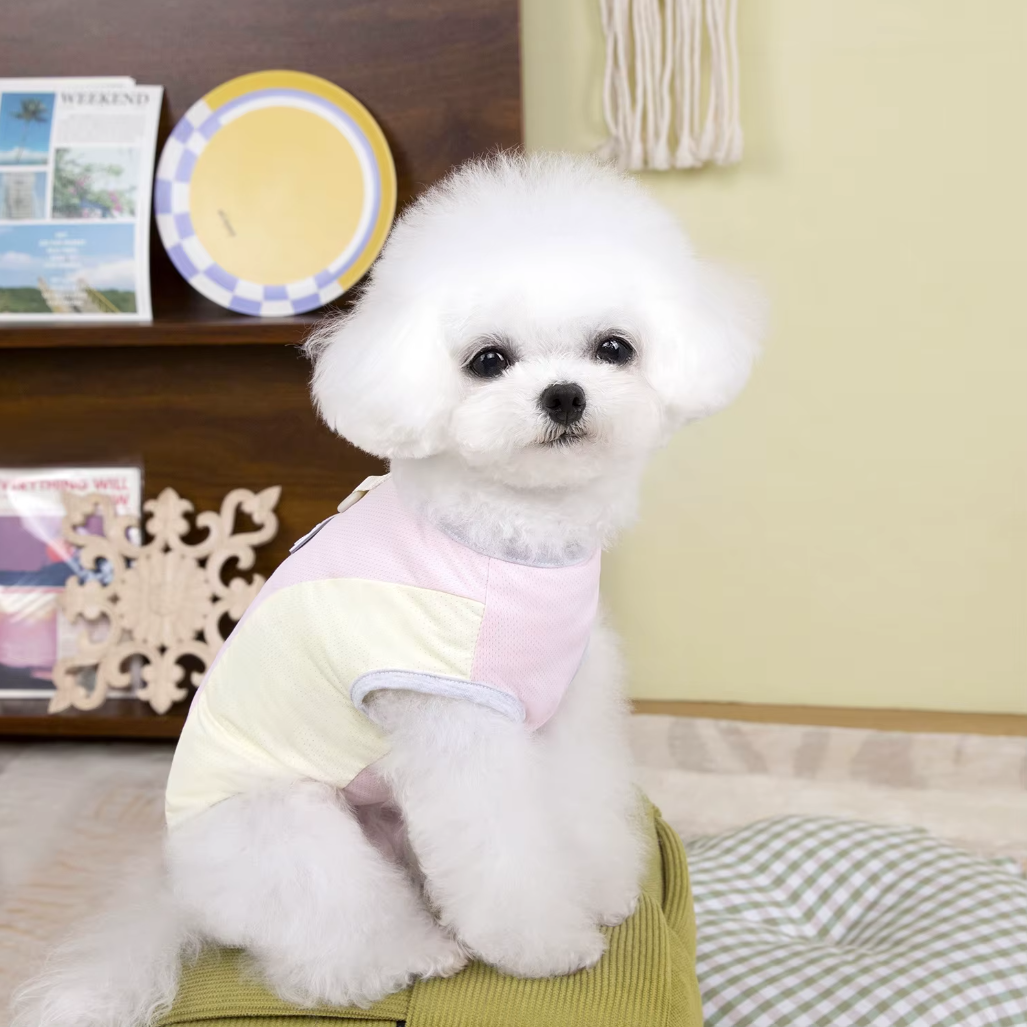 მაისური PAW