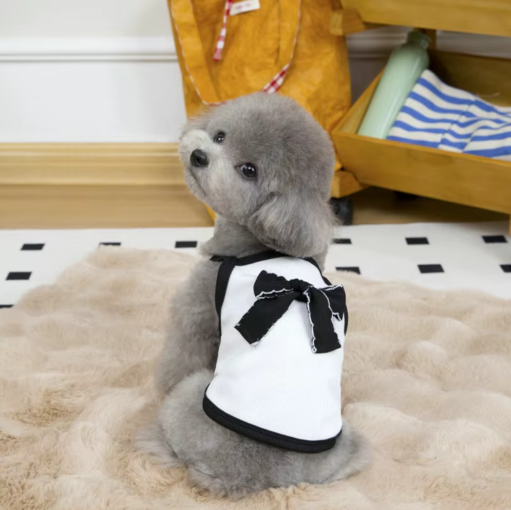 მაისური ბაფთით