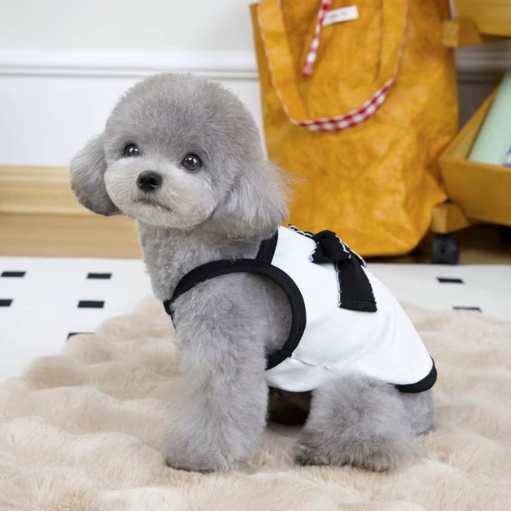 მაისური ბაფთით