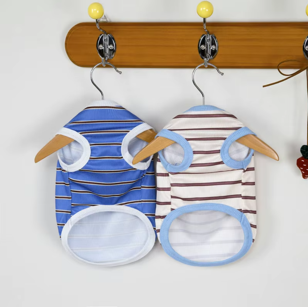 მაისური ზოლიანი