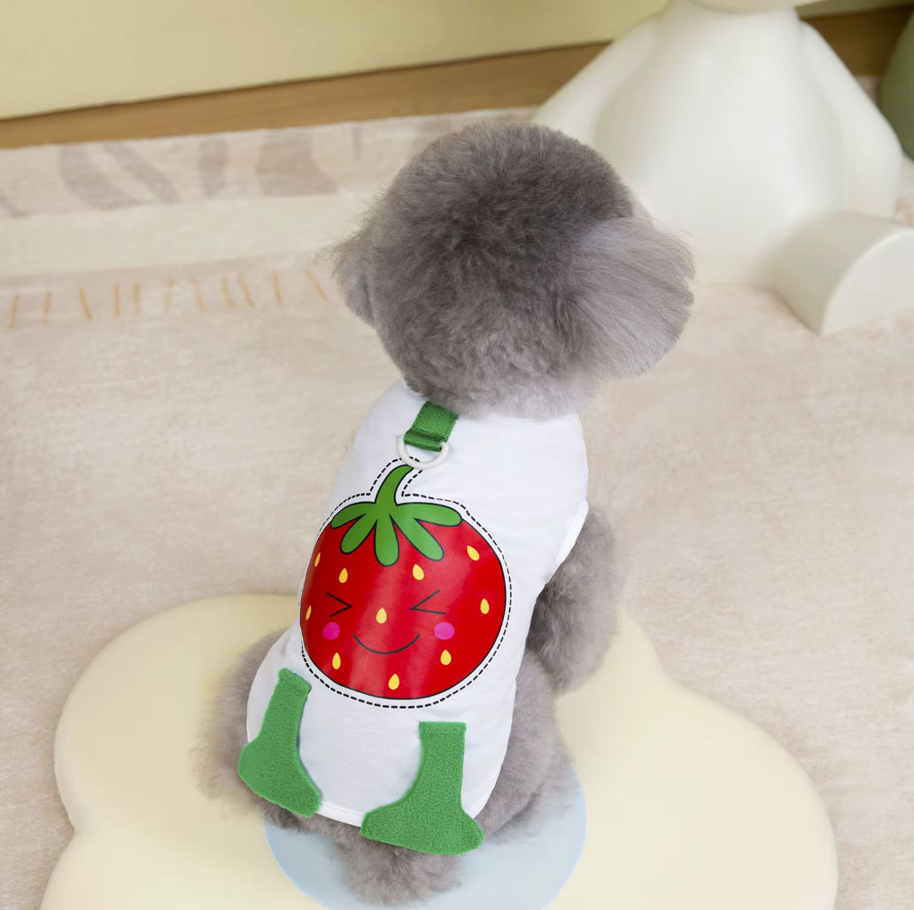 მაისური მარწყვი