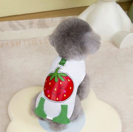 მაისური მარწყვი