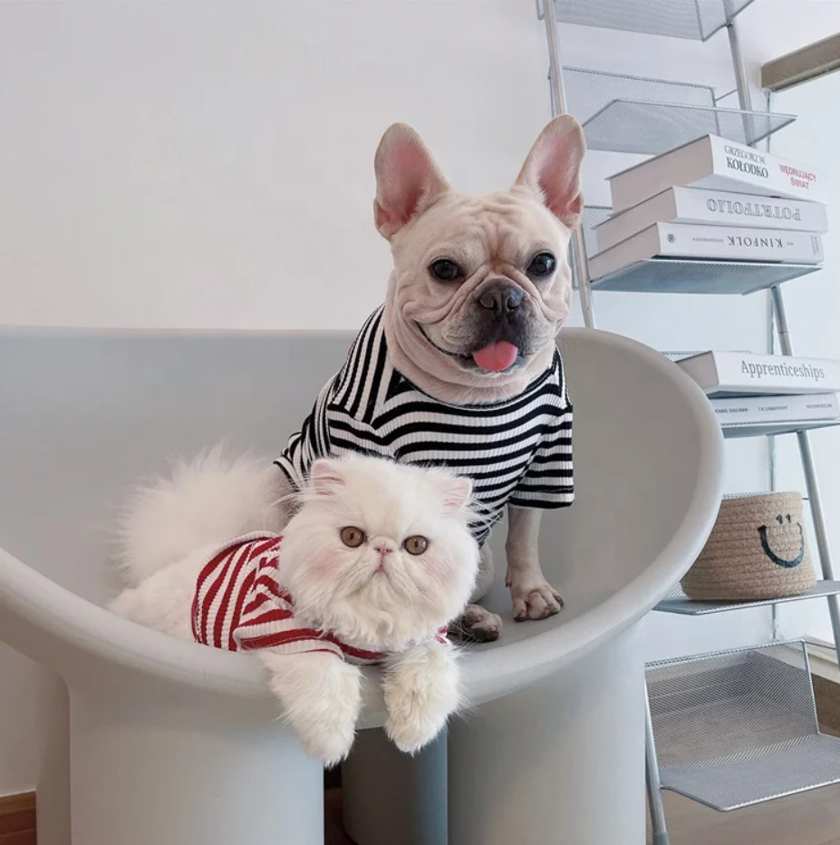 ძაღლის/კატის ზოლიანი მაისური