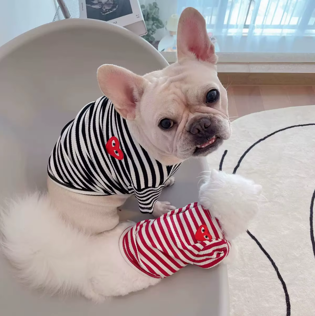 ძაღლის/კატის ზოლიანი მაისური