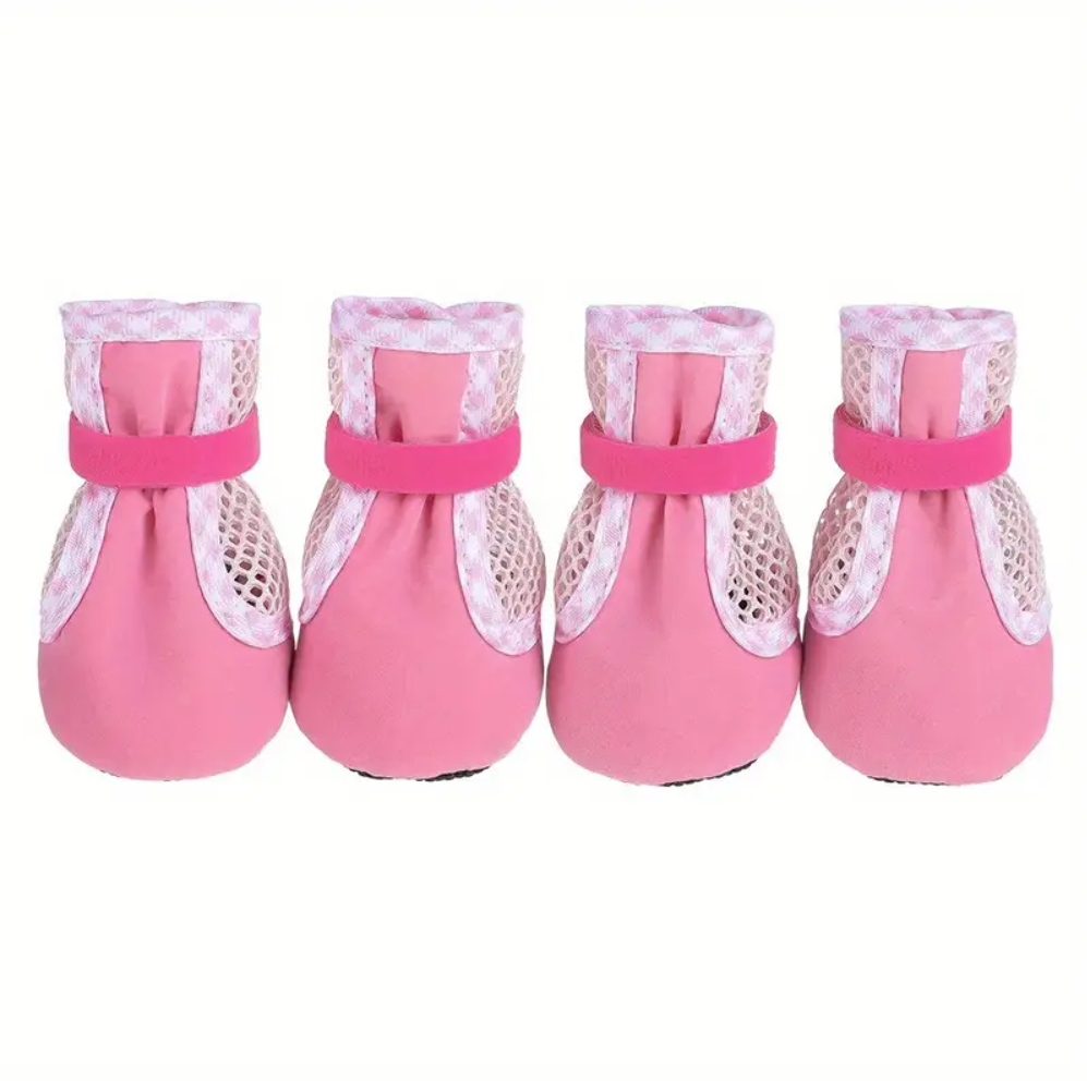 ფეხსაცმელი DoG