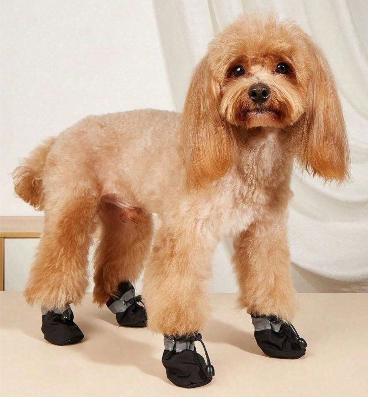 ძაღლის/კატის საზაფხულო ფეხსაცმელი