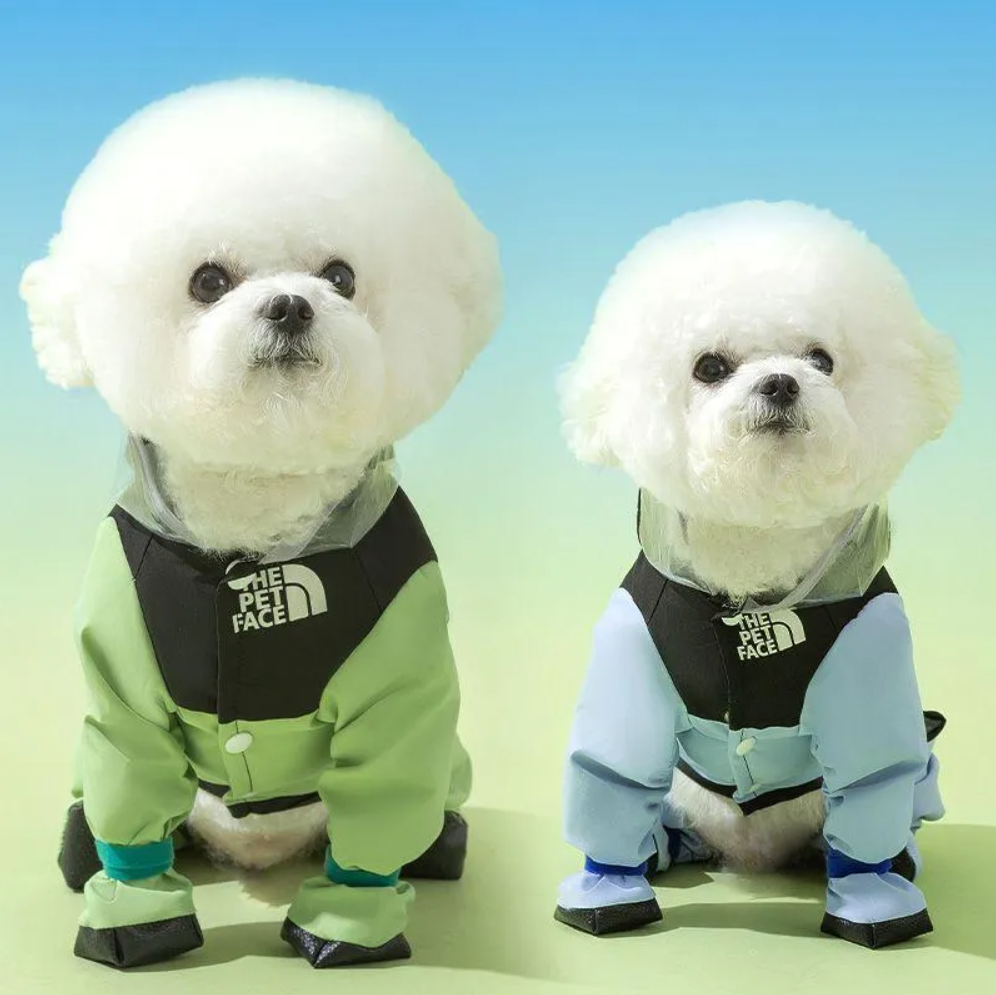 ძაღლის საწვიმარი ოთხივე თათის + კუდის დაცვით The Pet Face