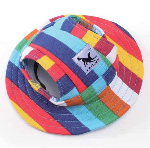 ძაღლის შლაპა