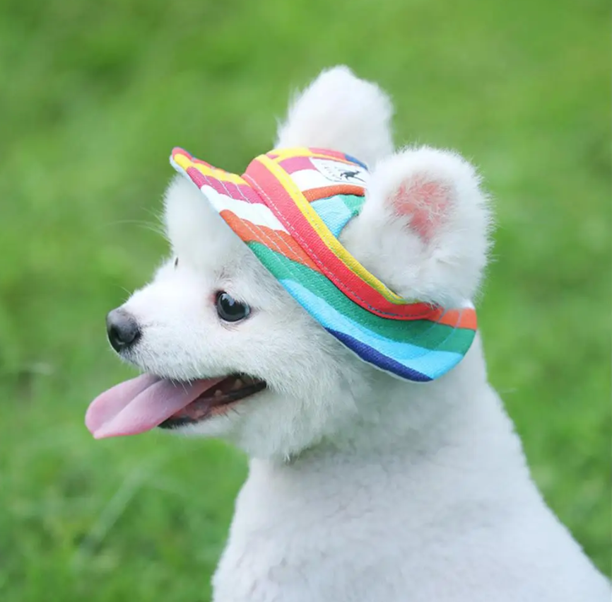 ძაღლის შლაპა