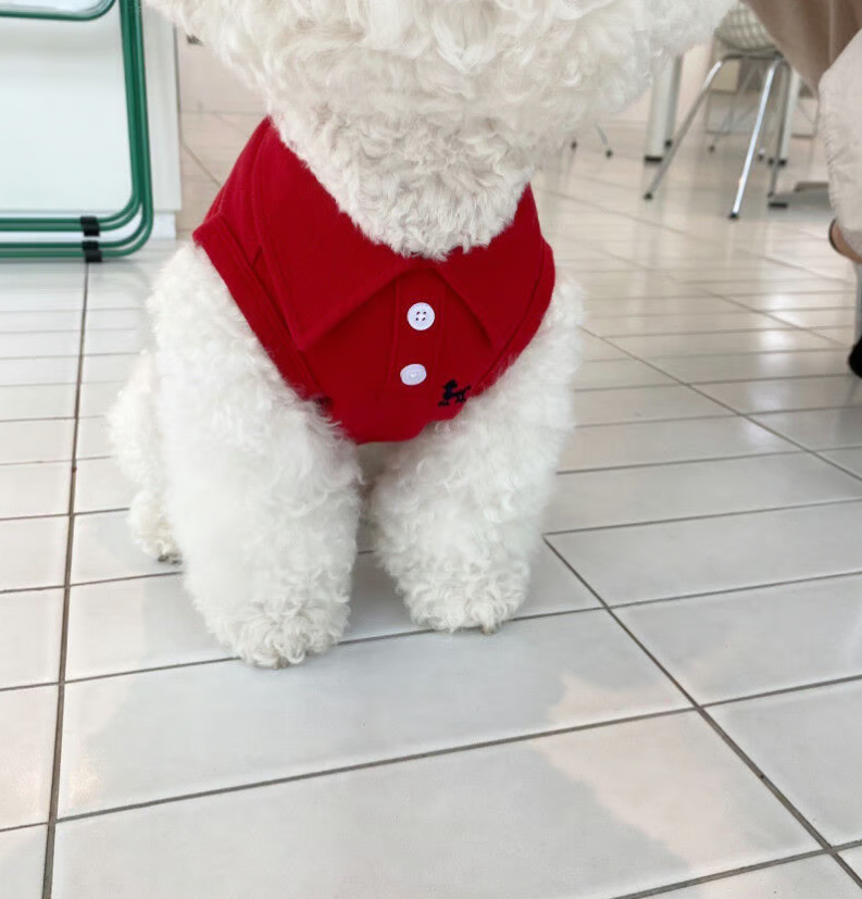 POLO მაისური