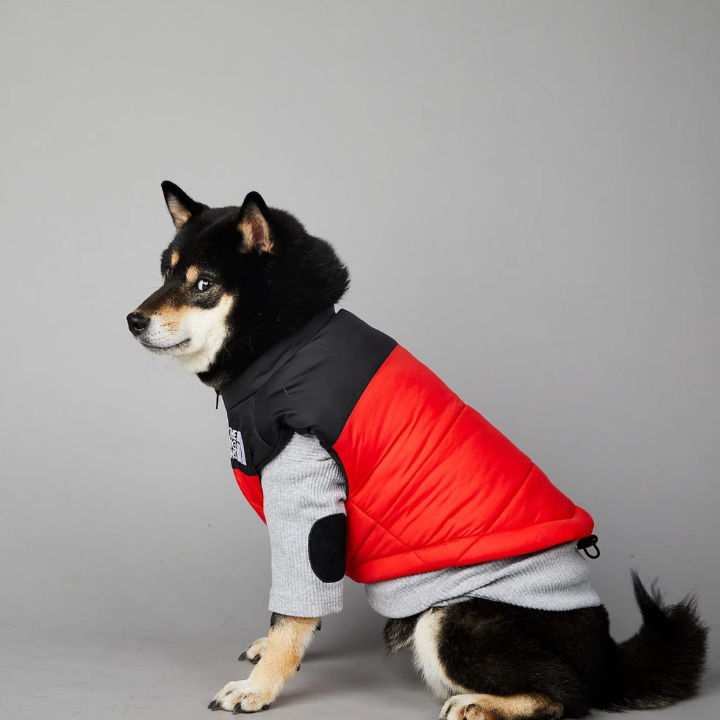 დუტის ჟილეტი The Dog Face