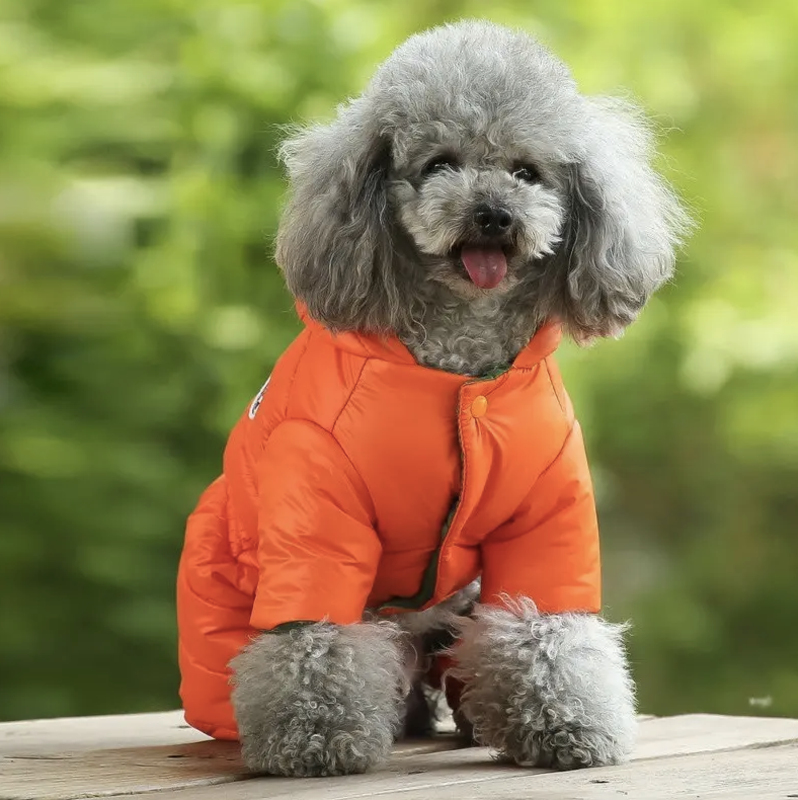 დუტის ქურთუკი კომბინიზონი