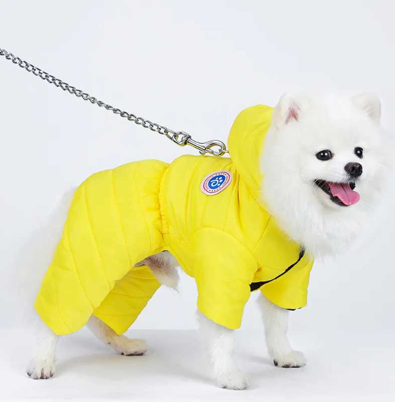 დუტის ქურთუკი კომბინიზონი