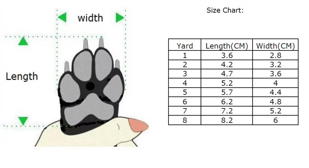 ძაღლის ფეხსაცმელი კედები