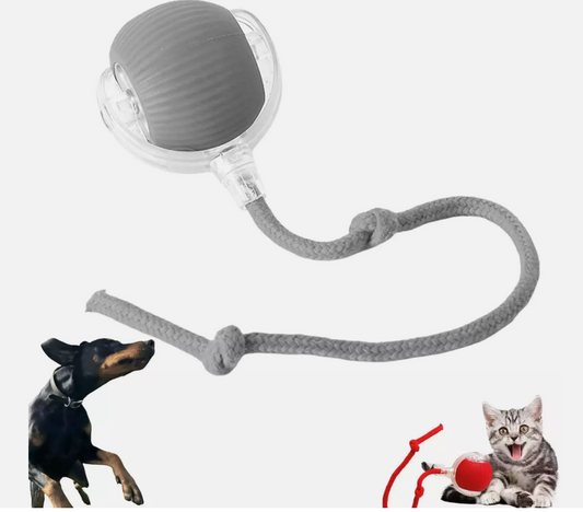 სათამაშო ბურთი თოკით