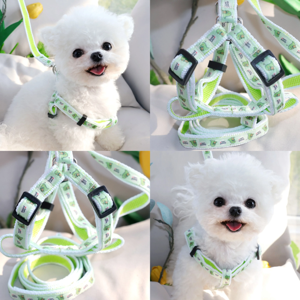 შლეიკა დინო