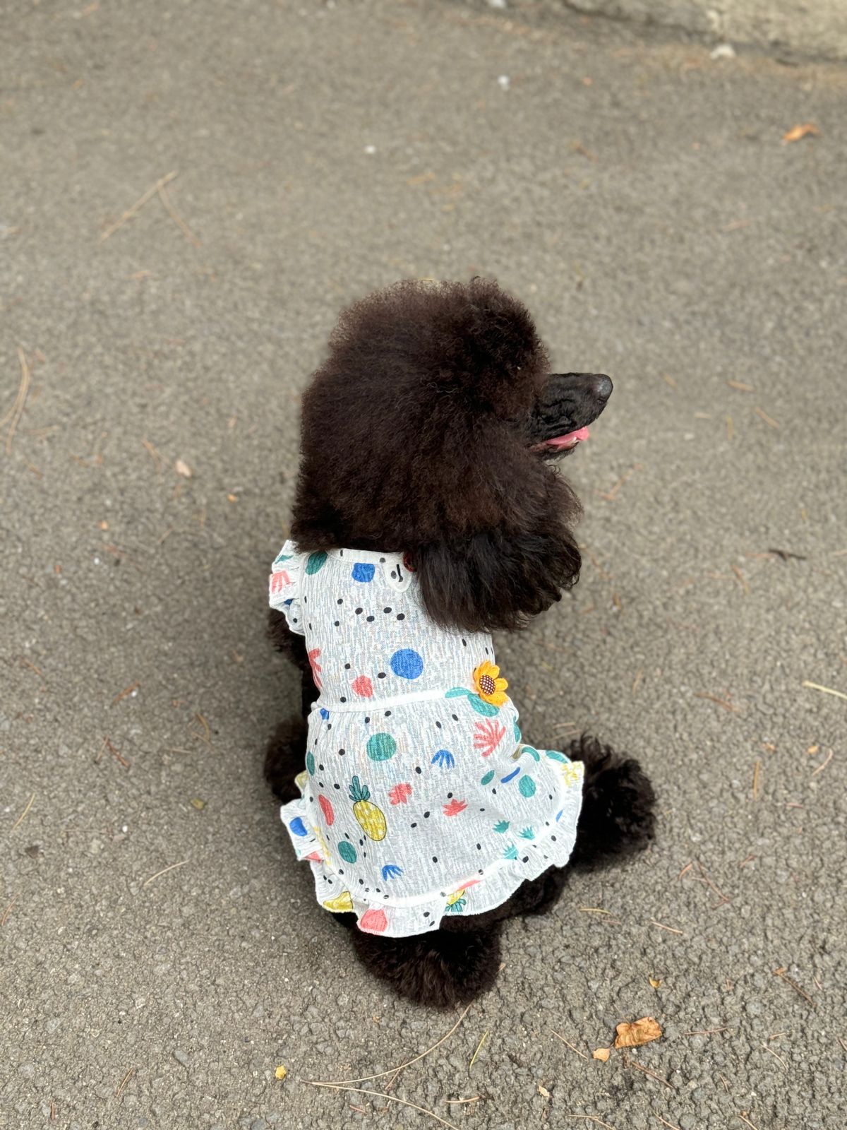 საზაფხულო ყვავილებიანი კაბა