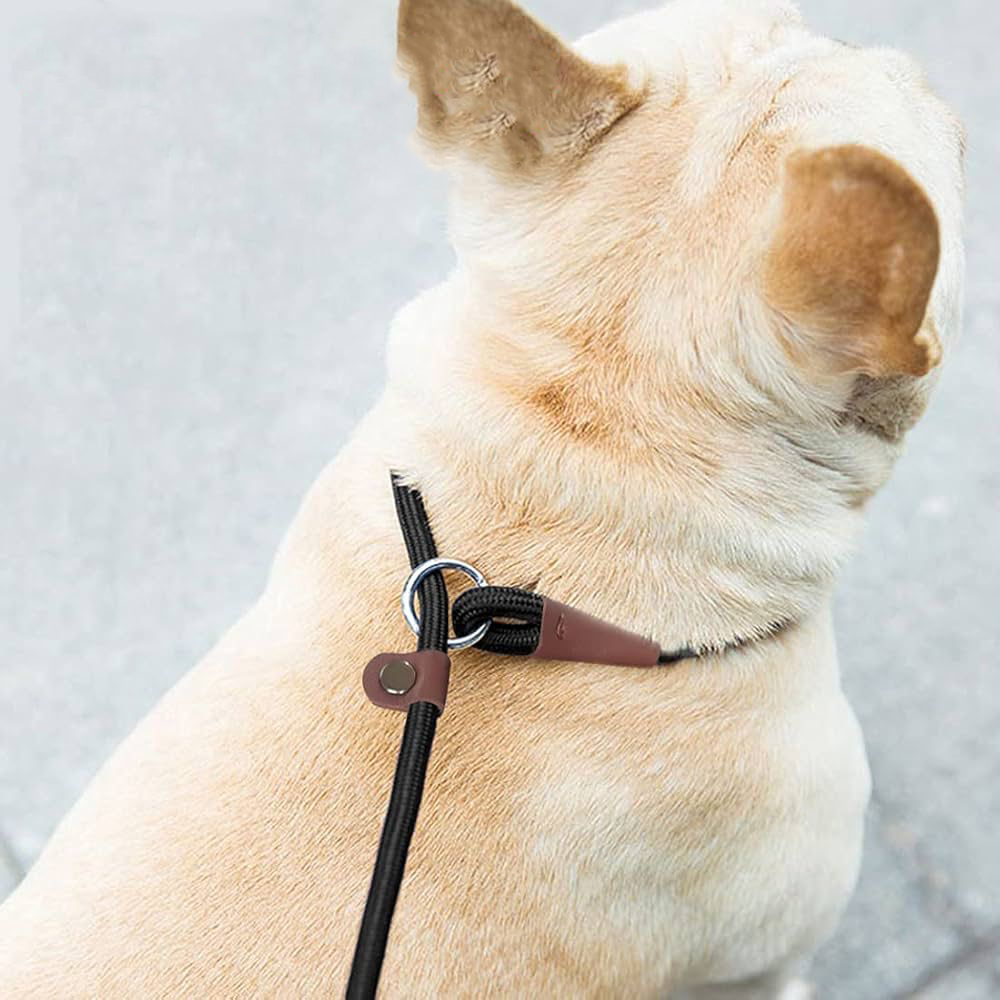 ძაღლის საწვრთნელი საბელი