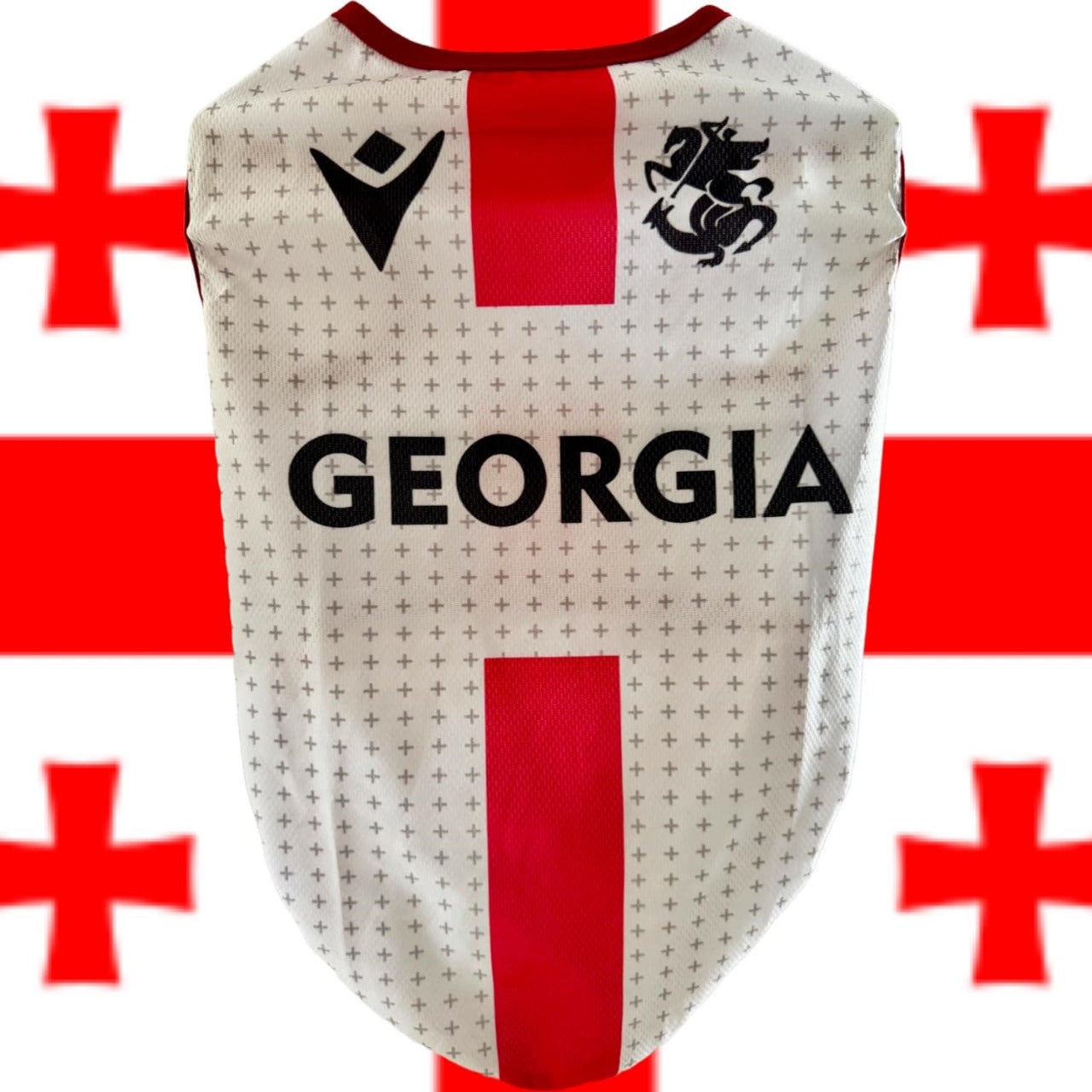 საქართველოს ნაკრების მაისური