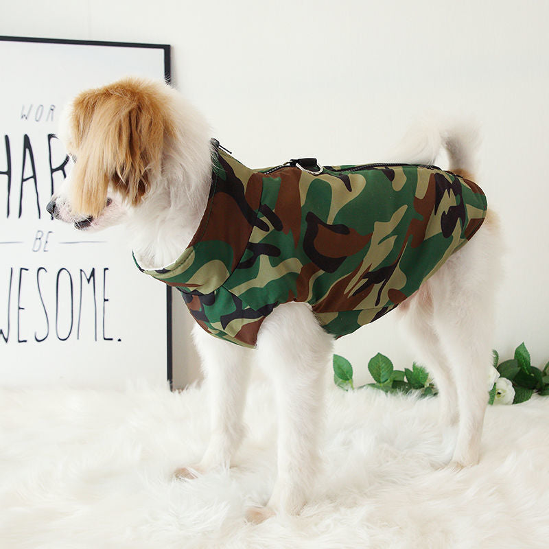 დუტის სამხედრო ჟილეტი