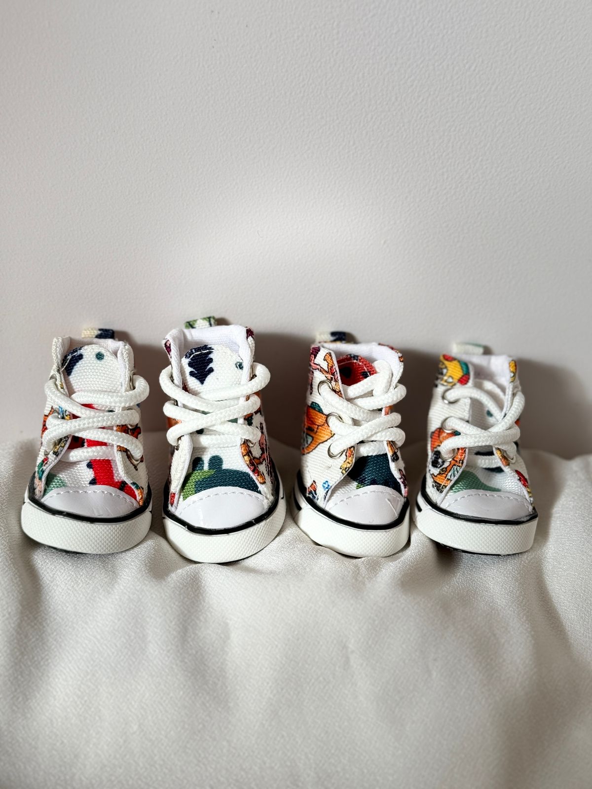 ძაღლის ფეხსაცმელი კედები