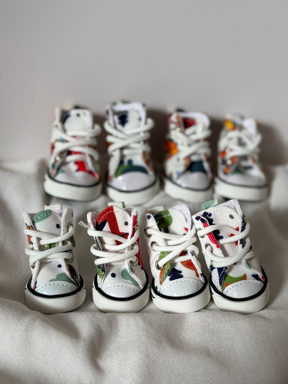 ძაღლის ფეხსაცმელი კედები