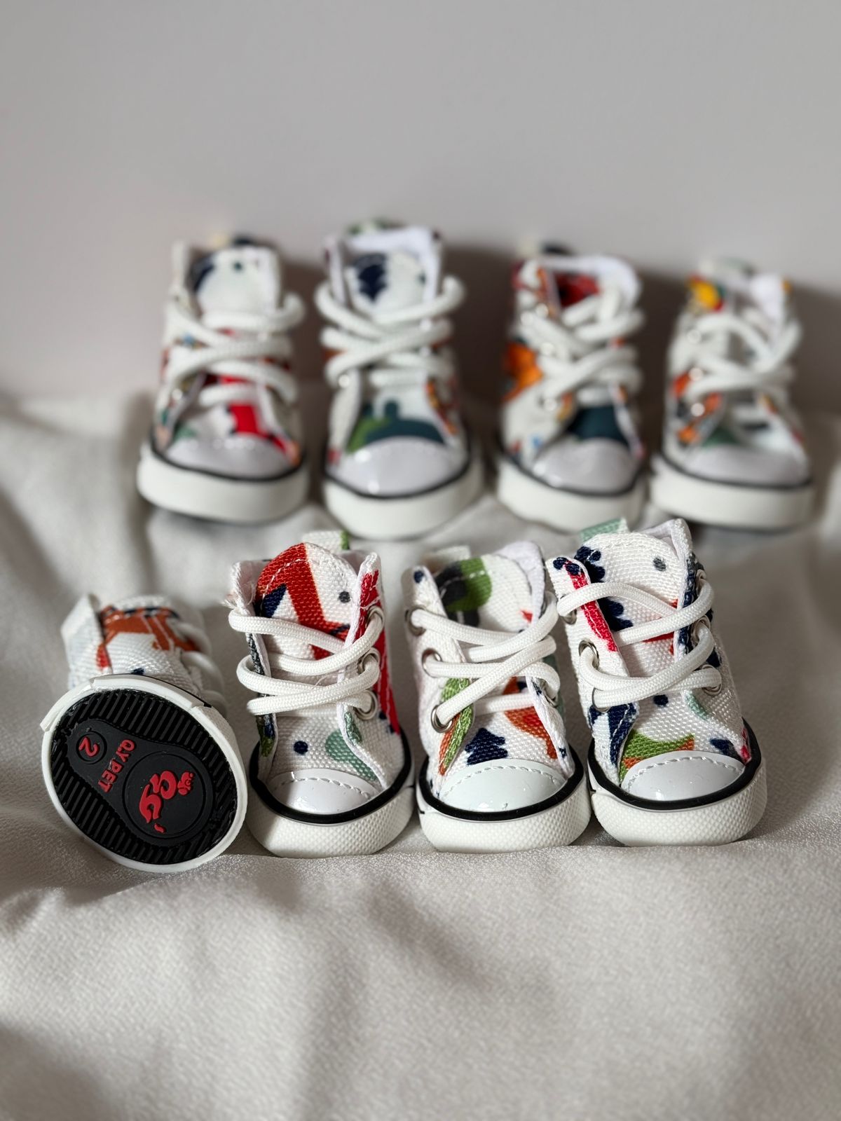 ძაღლის ფეხსაცმელი კედები