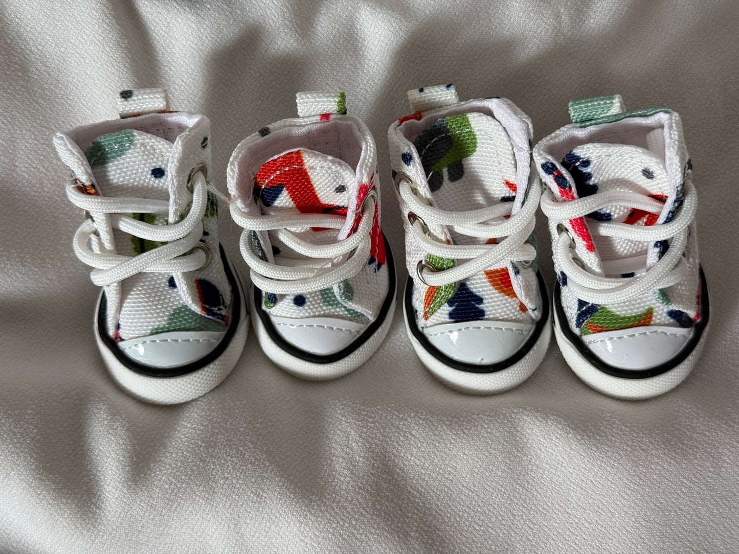 ძაღლის ფეხსაცმელი კედები