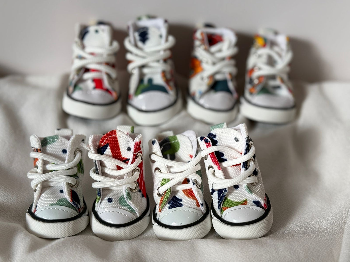 ძაღლის ფეხსაცმელი კედები