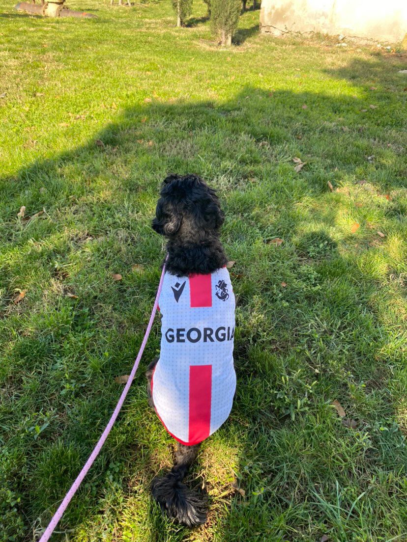 საქართველოს ნაკრების მაისური