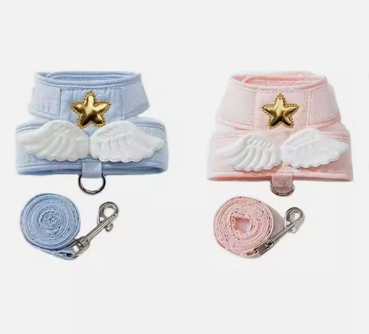 შლეიკა ფრთებით