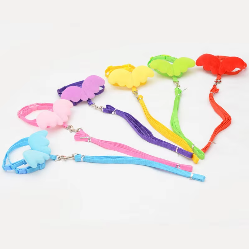 საბელი ფრთები