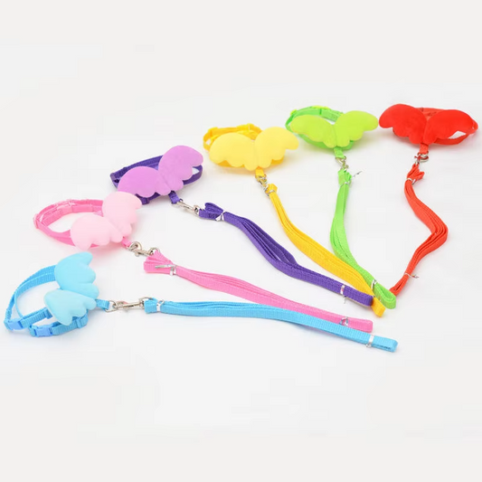 საბელი ფრთები