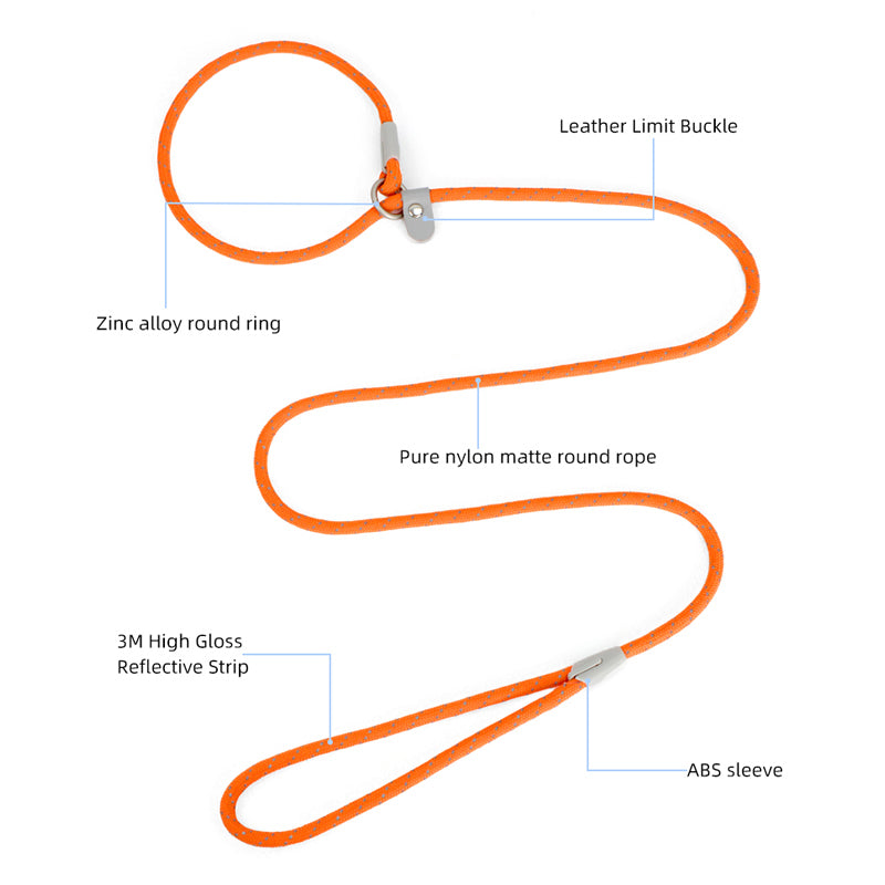 ძაღლის საწვრთნელი საბელი