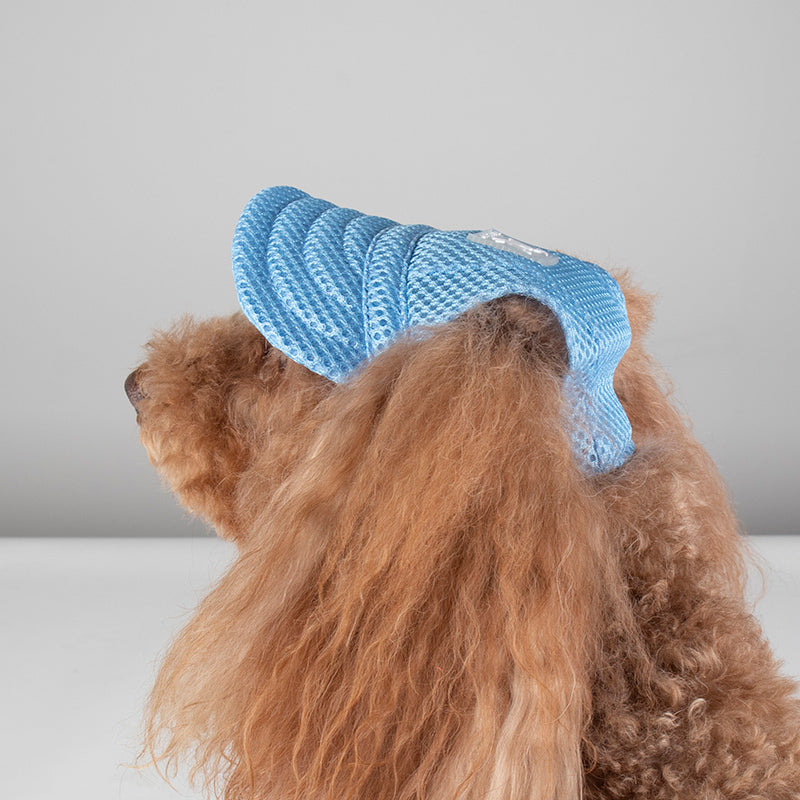 ძაღლის ფერადი კეპი