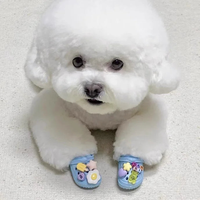 ფერადი კროქსები