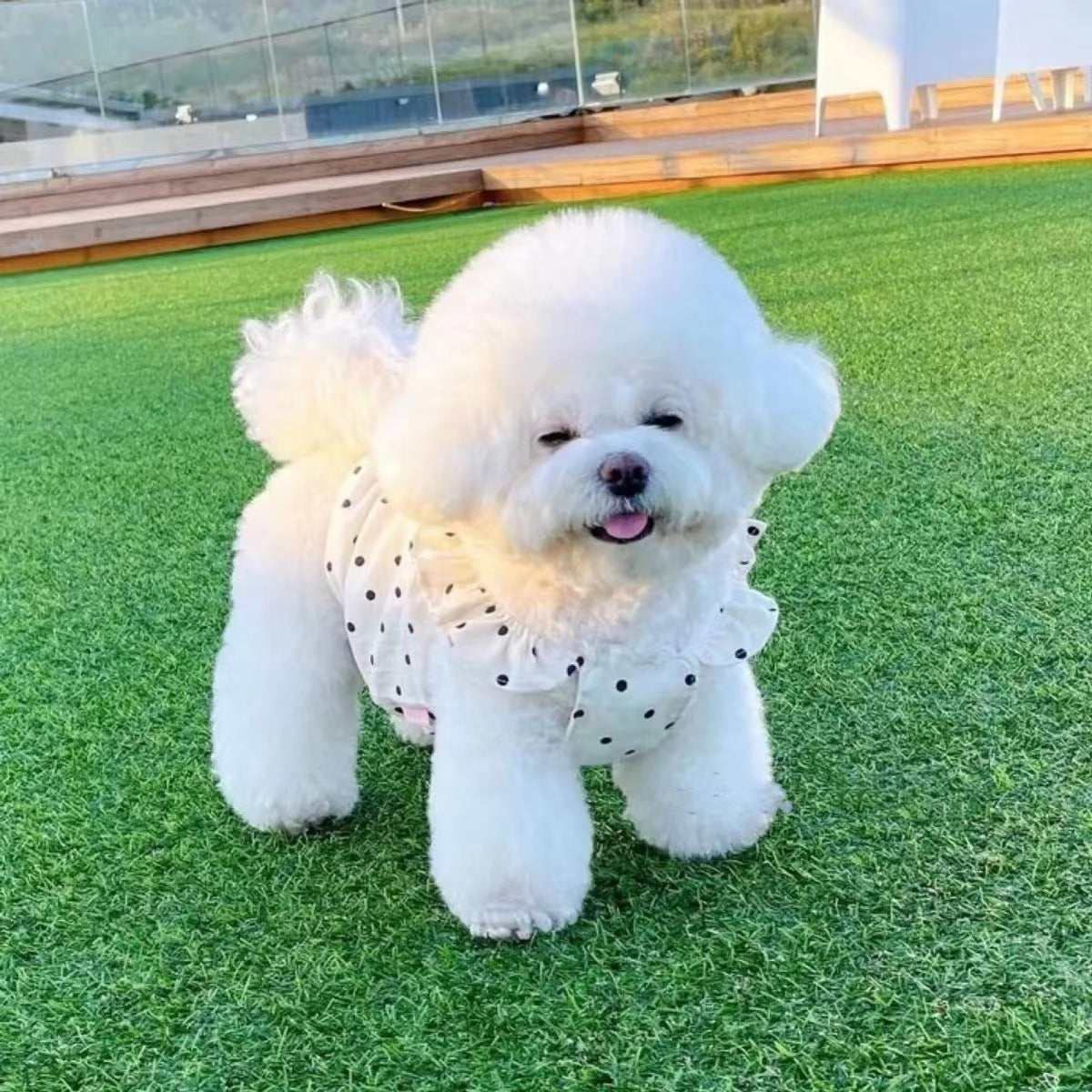 კოპლებიანი კაბა