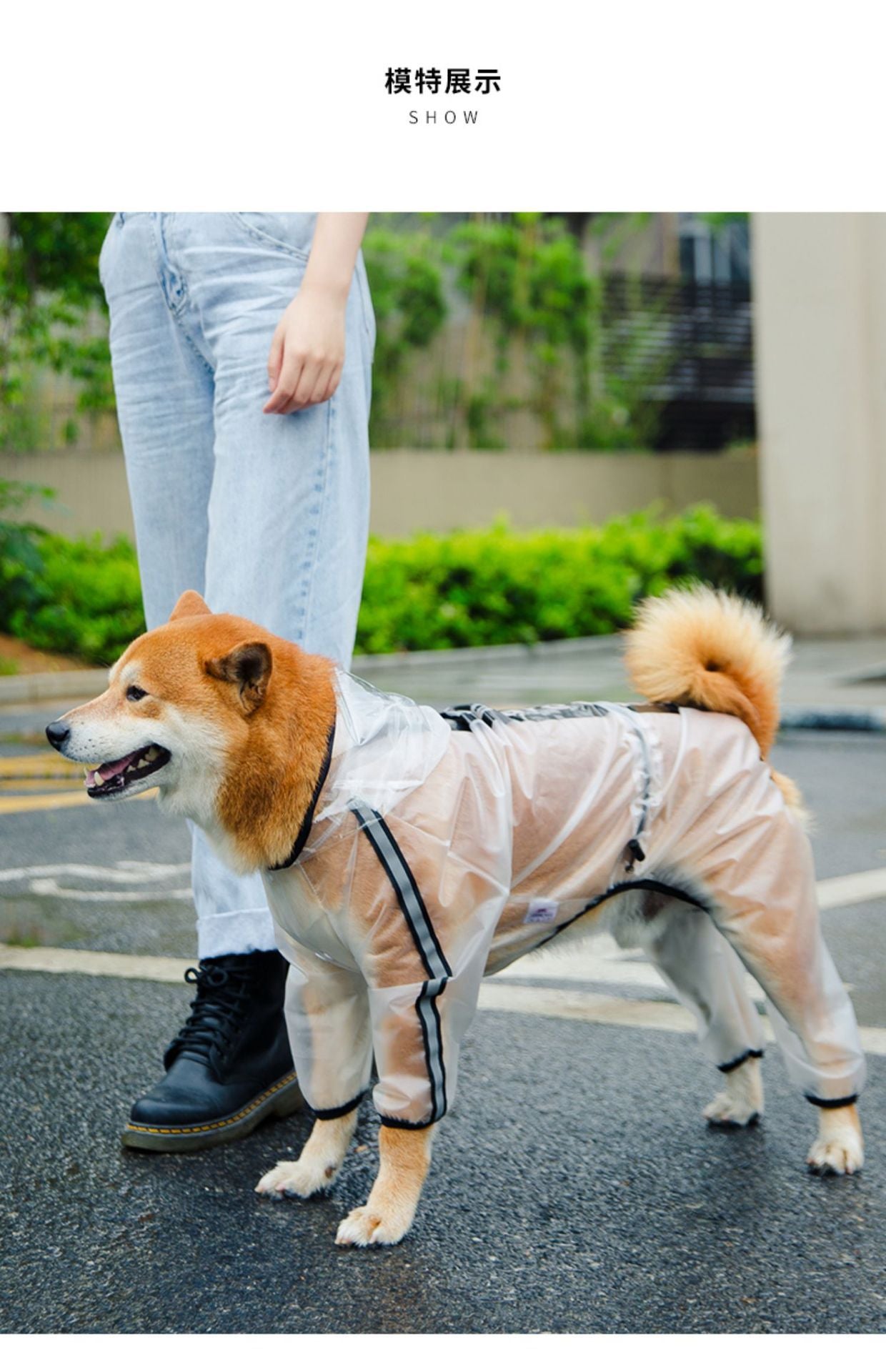 ძაღლის საწვიმარი WE ARE FRIEND