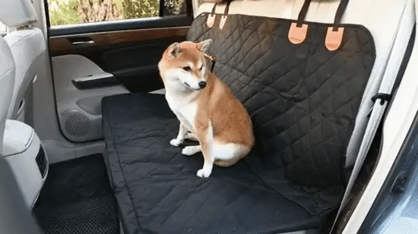 მანქანის სავარძლის გადასაფარებელი ძაღლებისთვის