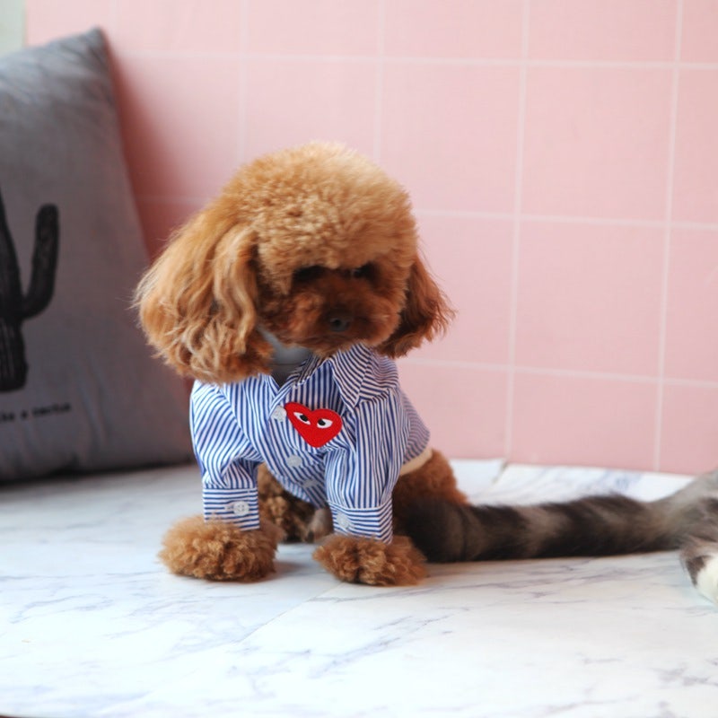 ძაღლის/კატის ზოლიანი პერანგი