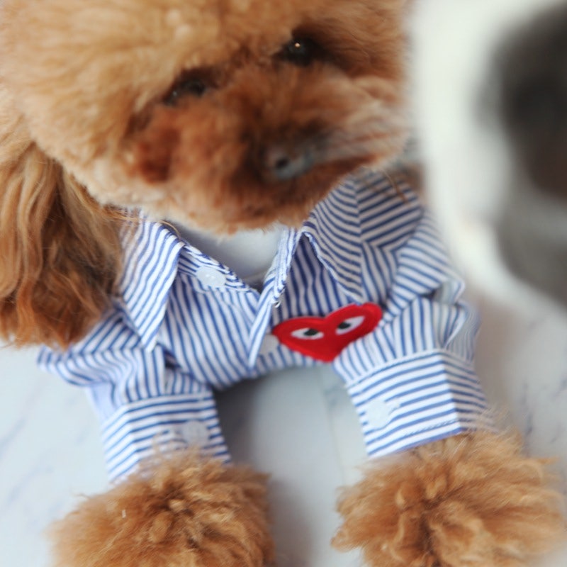 ძაღლის/კატის ზოლიანი პერანგი