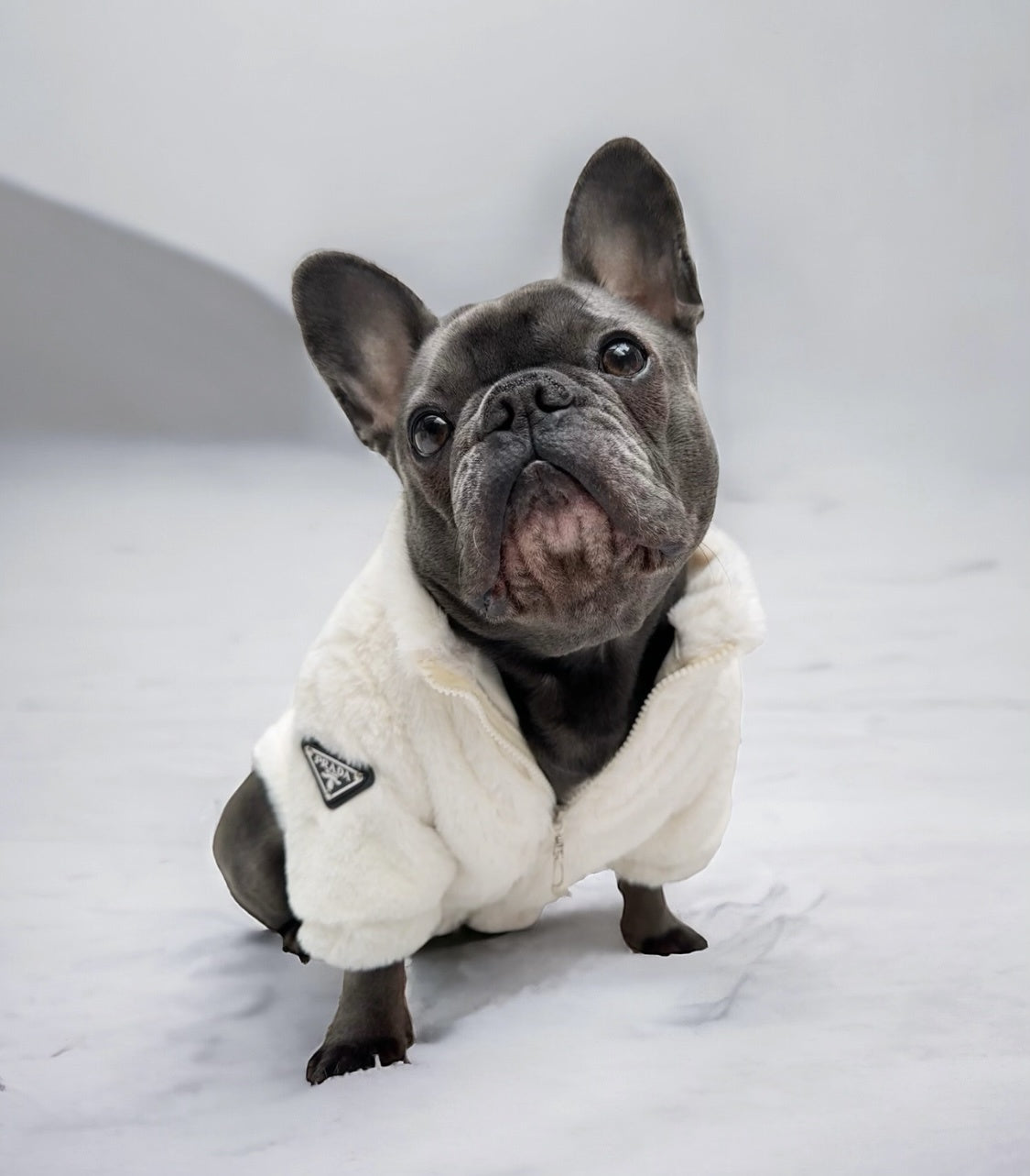 მოსაცმელი Prada