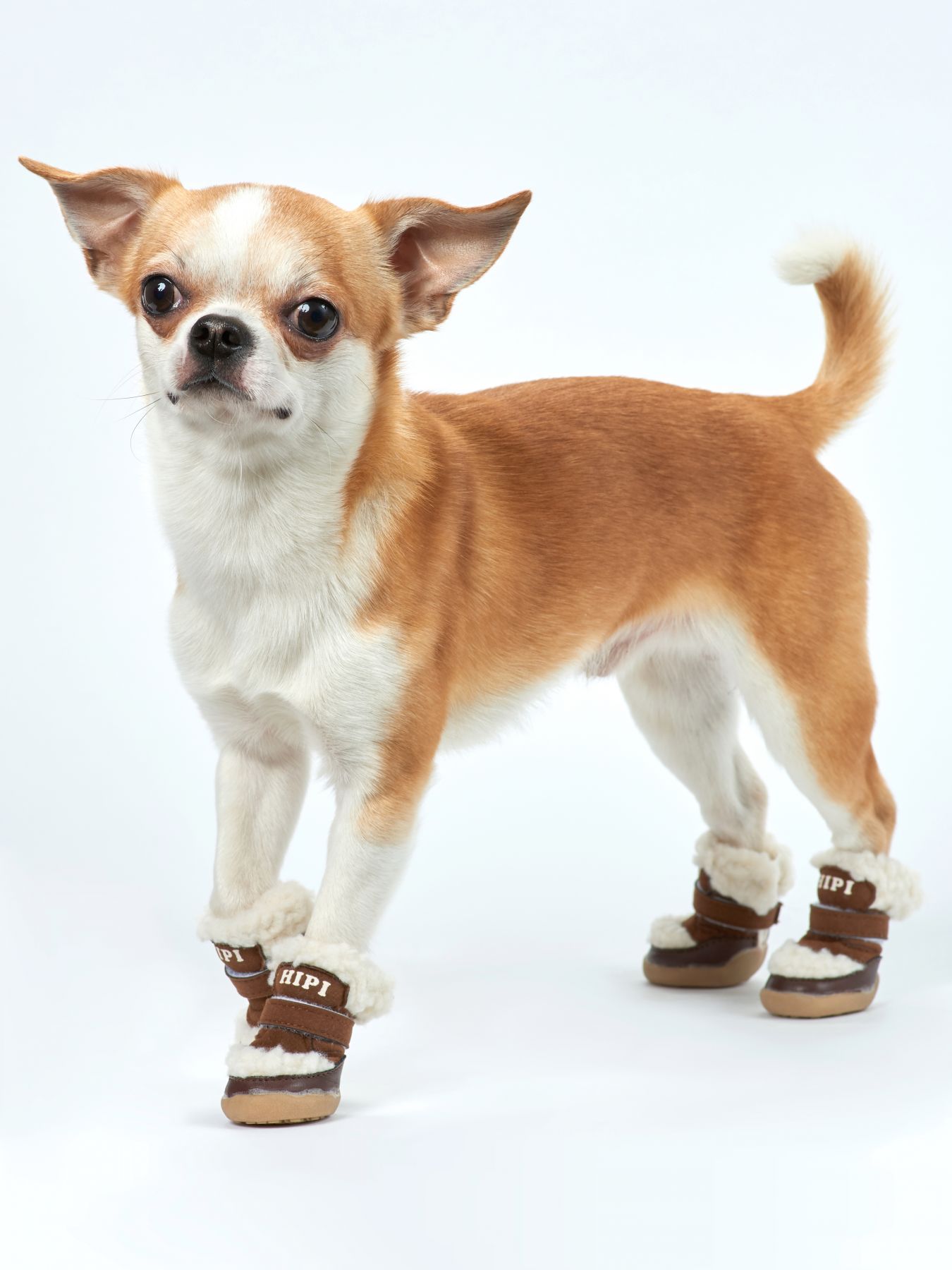 ფეხსაცმელი Hipi