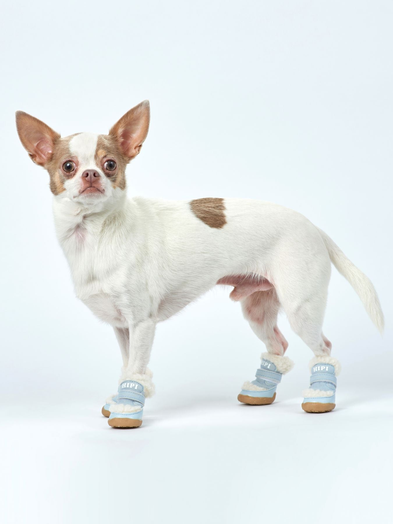 ფეხსაცმელი Hipi